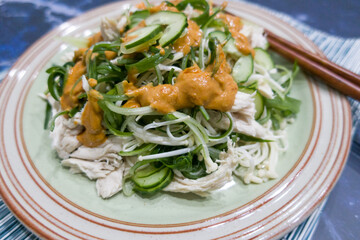 Chicken breast and green onion Peanut sauce salad.