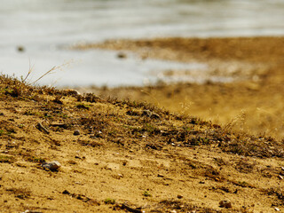 Fototapeta na wymiar Closeup of Shoreline Soil with water in background
