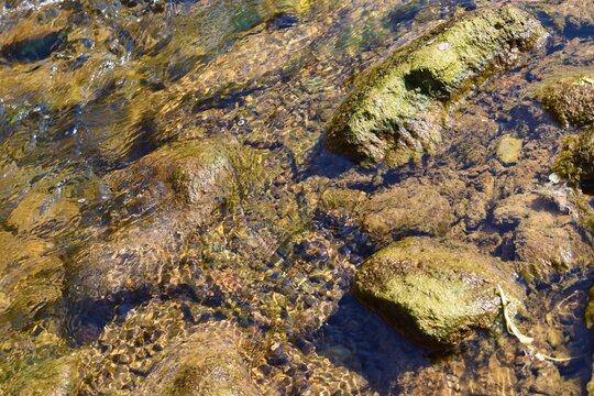 Rocks underwater on riverbed with clear freshwater in India