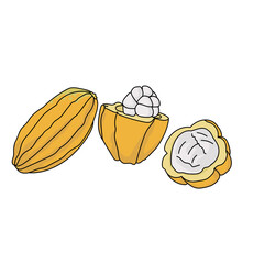 Cocoa fruit, whole and half, a juicy tropical yellow fruit with white flesh inside