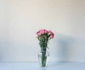 Pink carnations in glass vase on white shelf against wall with afternoon light