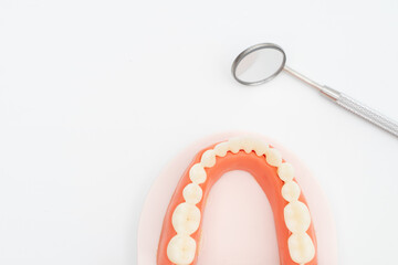 Dentist tool care set and tooth model  on white