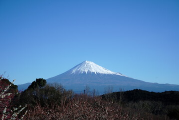 Fototapeta premium I strolled around the centre of town