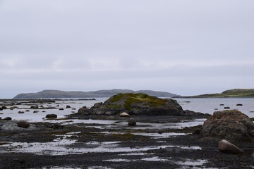 Coast and landscape of Newfoundland
