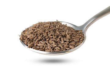 seasoning cumin grain in spoon isolated on white background