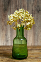 Hydrangea dried flower in a green glass vase on a wooden table.