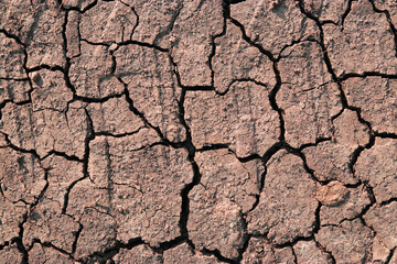 Surface of dried brown clay