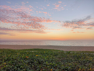 A soft light sunset and beach morning glory