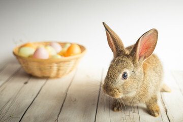 Cute Easter bunny with eggs basket in the background. Spring background, wallpaper with copy space.