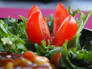 Beefsteak with tomato and herbs on a red background
