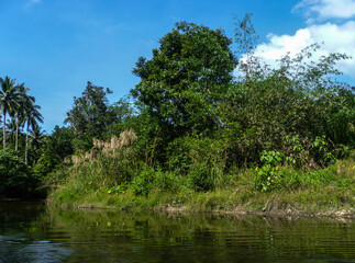 Green tropical forest and blue sky. Summer excursion along the rivers of Thailand.