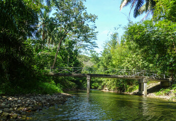 A stone bridge with a railing separates the two banks of a river in a forest in southern Thailand.