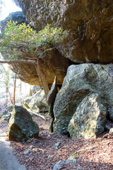 登山道　イメージ