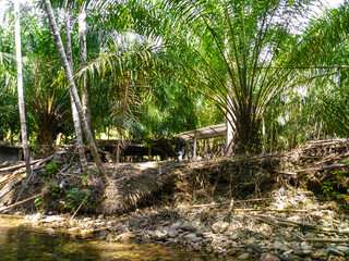 In the bamboo thickets of Thailand, gazebos were built for tourists to relax.