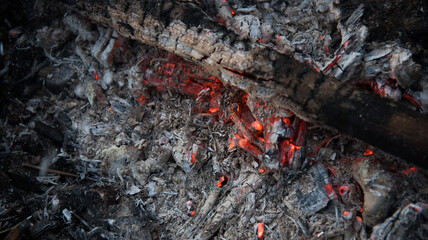 Coals that smolder in the grill. A dying fire. Living fire.