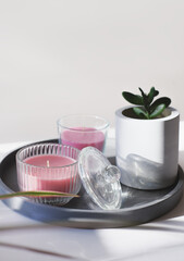 scented candles and succulent flower in cement pot. scandinavian home. minimal style interior. relaxing fragrances for cozy house atmosphere.