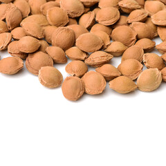 Dry apricot nut 