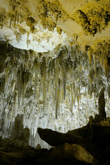 Carlsbad Caverns National Park, New Mexico, USA