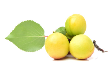 Fresh cut apricot fruits isolated on white background, with clipping path