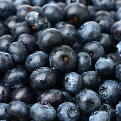 blueberries on a white plate