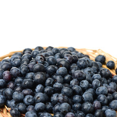 Blueberry on white background