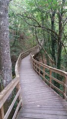 Obraz premium Prueba