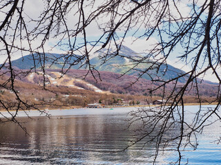 枝越しの湖と山の風景