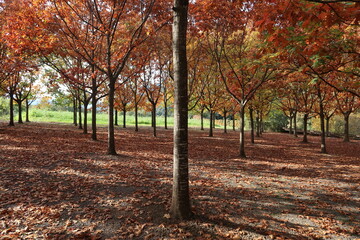 Naklejka premium Prueba