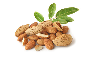 A small heap of almonds in shell and without with sprig isolated on the white