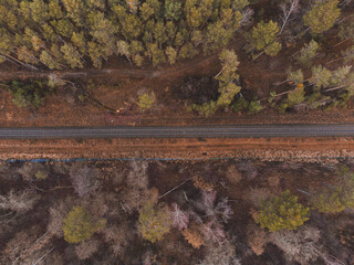 wald mit schienen n&auml;her