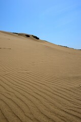 Obraz na płótnie Canvas sand dunes in park