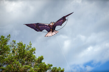 Fototapeta na wymiar A kite in the form of an eagle flies through the sky