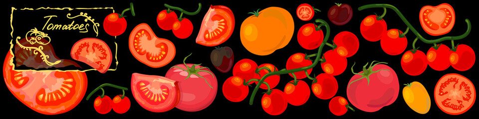 Tomatoes background. Whole and sliced tomatoes including yellow and cherry varieties. Vector Illustration
