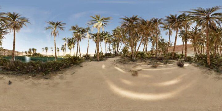 VR360 view of palm oasis in desert