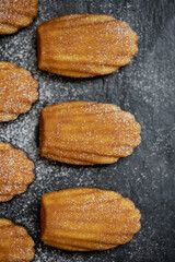 French madeleines cookies with icing sugar on a stone plate