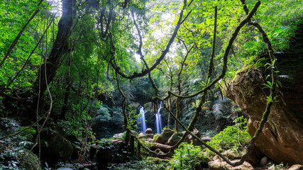 waterfall in the forest or motion of water at brook of water fall. with tree leaf and stone rock....