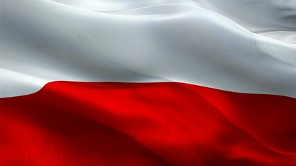 Polish flag Closeup 1080p Full HD 1920X1080 footage video waving in wind. National 3d Polish flag waving. Sign of Poland seamless loop animation. Polish flag HD resolution Background 1080p
