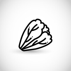 Lettuce vector thin line style icon