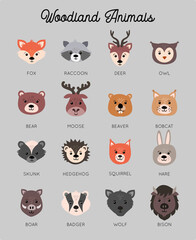 Beautiful set of child style woodland animals vector collection