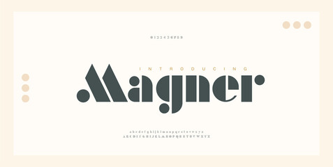 Elegant alphabet letters font and number. Classic Lettering Minimal Fashion Designs. Typography luxury modern serif fonts regular decorative vintage concept. vector illustration