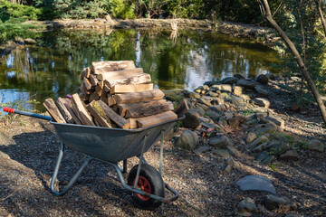 Cart with chopped wood stands on bank of garden pond. Firewood for stove and fireplace in cart close-up. Evergreen trees are reflected in mirror-clear water. Clear sunny February day.