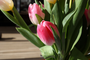 Spring bouquet of tulips on a blurred background