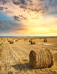 Endless field with bales of straw.