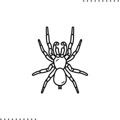 Sydney funnel spider, poisonous insect vector icon in outline