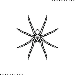 Wolf spider, poisonous spider vector icon in outline