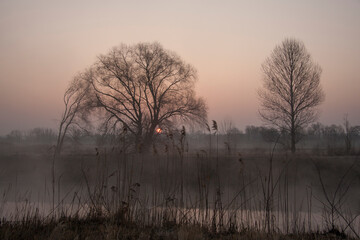 Spring landscape - dawn over the spring river