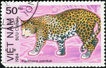 VIETNAM - CIRCA 1984: A stamp printed in Vietnam shows Panthera pardus or leopard