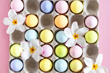 Colorful Pastel Easter eggs with frangipani flowers on pink background, top view with natural light. Flat lay style.