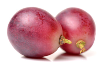 grape on white background 