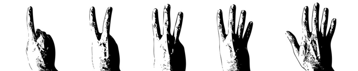 Human fingers showing numbers from one to five. illustration of hand gestures showing different number of fingers. Set of gestures sketch